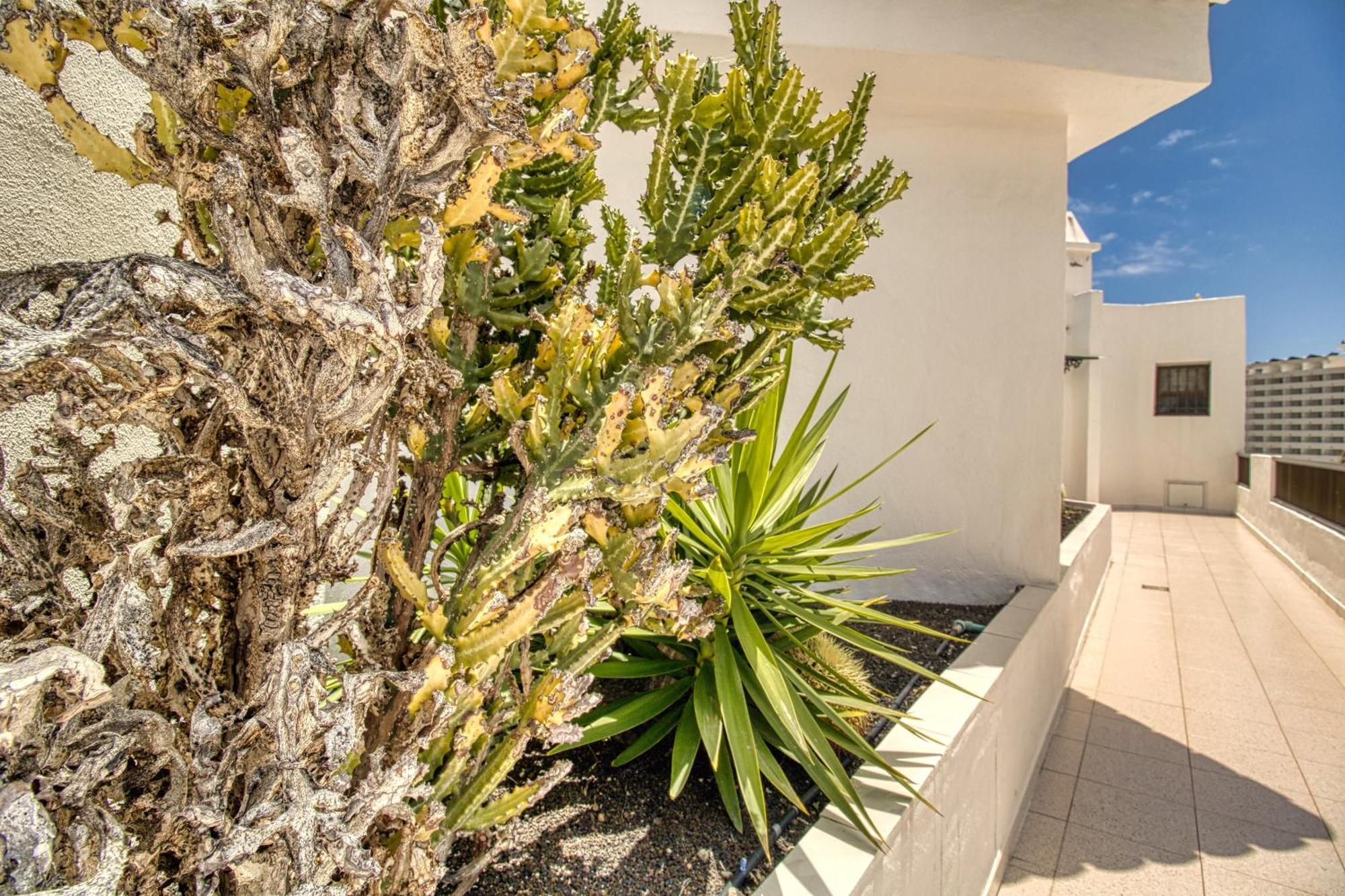 Appartement Penthouse Sea View Jacuzzy Terrace & Pool à Playa Feñabe Extérieur photo